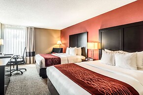 Comfort Inn Convention Center - Chicago O'hare Airport