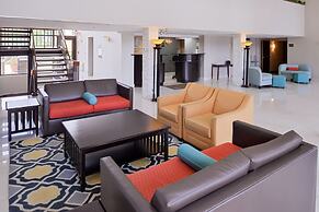 Comfort Inn Convention Center - Chicago O'hare Airport