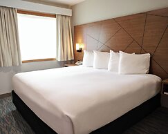 RiverTree Inn & Suites