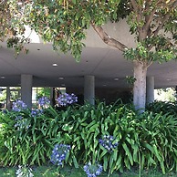 Cupertino Hotel