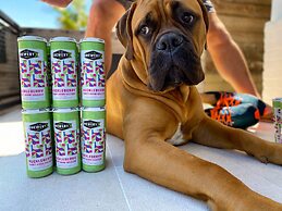 Sheraton San Diego Resort