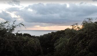 Walmer Lodge Apartments