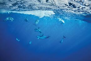 Reid's Palace, A Belmond Hotel, Madeira