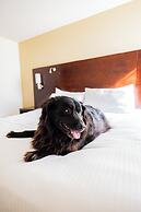 The McCormick Scottsdale