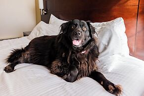 The McCormick Scottsdale