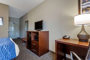 Comfort Inn Rockford near Casino District