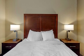 Comfort Inn Rockford near Casino District