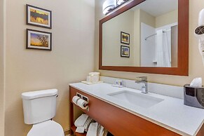 Comfort Inn Rockford near Casino District