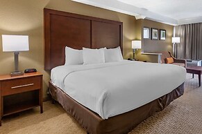 Comfort Inn & Suites near Danville Mall