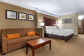 Comfort Inn & Suites near Danville Mall