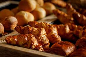 Alpha Palmiers by Fassbind