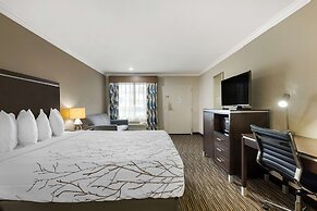 Best Western Redondo Beach Galleria Inn Hotel - Beach City LA