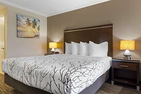 Best Western Redondo Beach Galleria Inn Hotel - Beach City LA