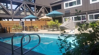 Best Western Plus Inn At The Vines