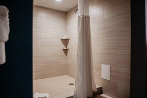 Radisson Hotel St. Paul Downtown