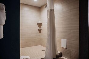 Radisson Hotel St. Paul Downtown