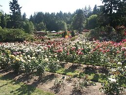 Hampton Inn Portland East