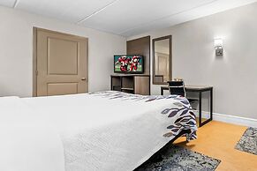 Red Roof Inn Tampa Fairgrounds – Casino