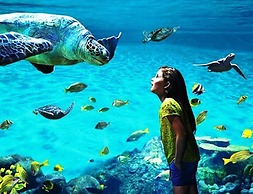 Pacific Terrace Hotel