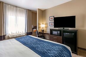 Comfort Inn & Suites Waterloo - Cedar Falls