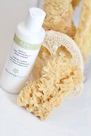 Cobblers Cove - Barbados