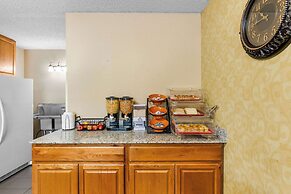 Econo Lodge Lynchburg South