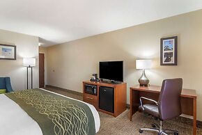 Comfort Inn & Suites - near Robins Air Force Base Main Gate