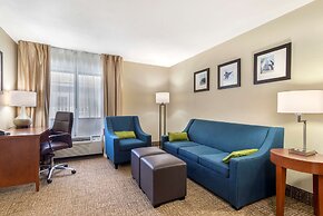 Comfort Inn & Suites - near Robins Air Force Base Main Gate