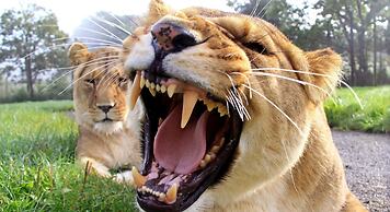 Holiday Inn Bristol-Filton by IHG