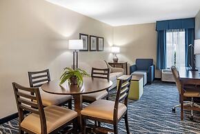 Comfort Inn & Suites Newark - Wilmington