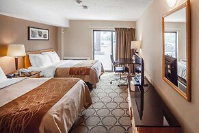 Comfort Inn West Edmonton