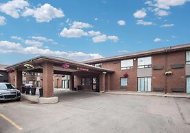 Comfort Inn West Edmonton