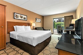 Comfort Inn West Edmonton