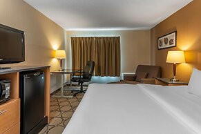 Comfort Inn West Edmonton