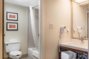 Comfort Inn Pine Grove I-81 Hershey Area