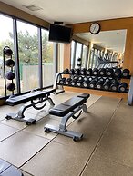Embassy Suites by Hilton Chicago Schaumburg Woodfield