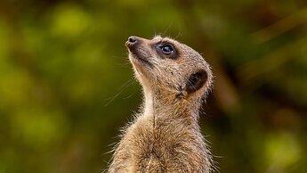 Holiday Inn Norwich by IHG