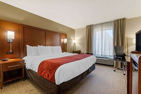 Comfort Inn & Suites Macon West