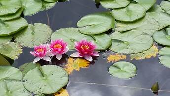 Kimpton Vero Beach Hotel & Spa by IHG