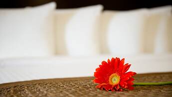 Park Inn By Radisson Toronto - Markham