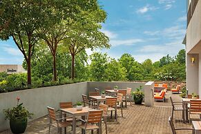 Hotel Colee, Atlanta Buckhead, Autograph Collection