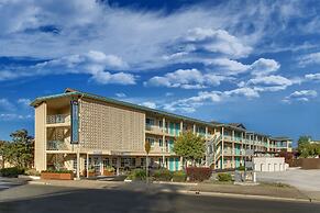 The Stevenson Monterey