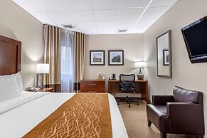 Comfort Inn Syosset - Long Island