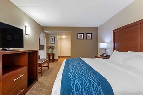 Comfort Inn Binghamton I-81