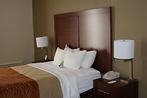 Comfort Inn Binghamton I-81