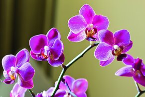 Mövenpick Hotel Münster am Aasee