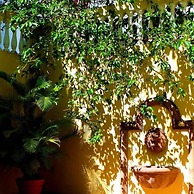 Canario Boutique Hotel