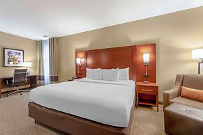 Comfort Inn Memphis Downtown