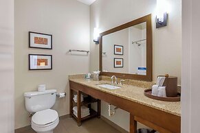 Comfort Inn Memphis Downtown