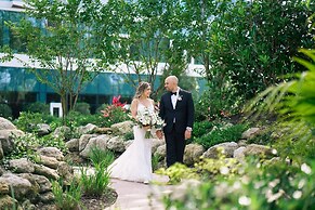 Walt Disney World Dolphin